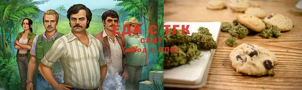 гашик Горняк