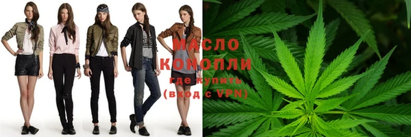 гашик Горняк