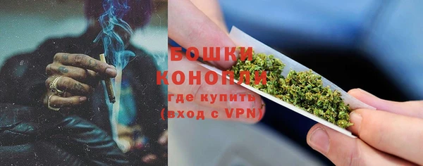 мяу мяу мука Горно-Алтайск