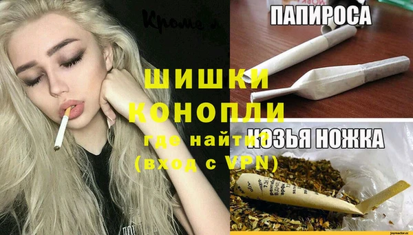 гашик Горняк
