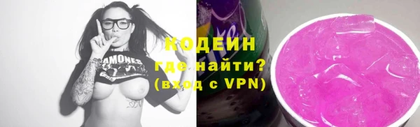 гашик Горняк