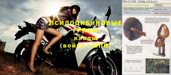 крисы Крымск