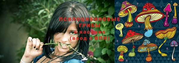 гашик Горняк