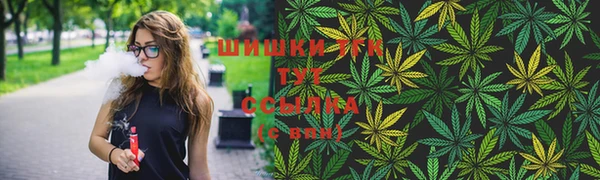 гашик Чекалин