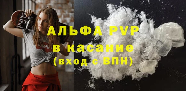 мяу мяу мука Горно-Алтайск