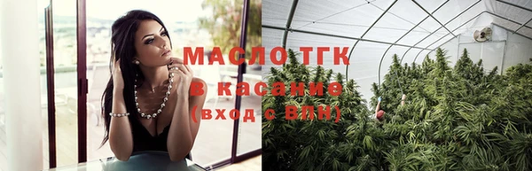 гашик Горняк