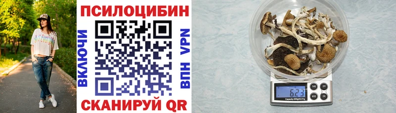 дарнет шоп  Печоры  Псилоцибиновые грибы Cubensis 